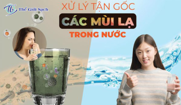 Tận hưởng nước tinh khiết ngọt ngào với máy lọc nước RO CLEAN WORLD