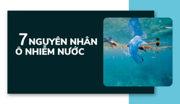 Tìm Hiểu Nguyên Nhân Gây Ô Nhiễm Nguồn Nước
