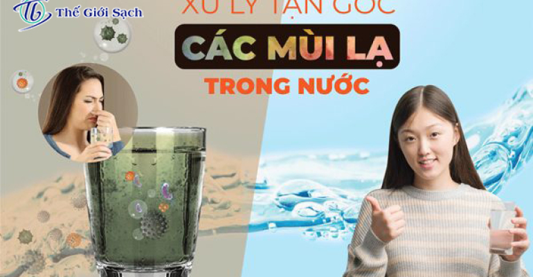 Chăm sóc sức khỏe gia đình với máy lọc nước RO CLEAN WORLD thông minh